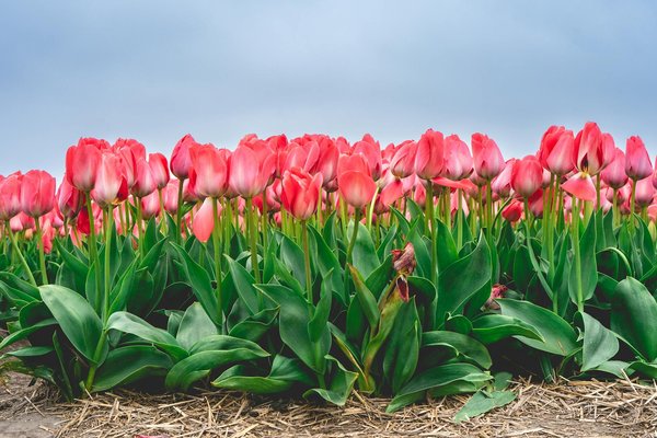 Your ultimate guide to choosing the ideal renewable energy provider for a sustainable uk home