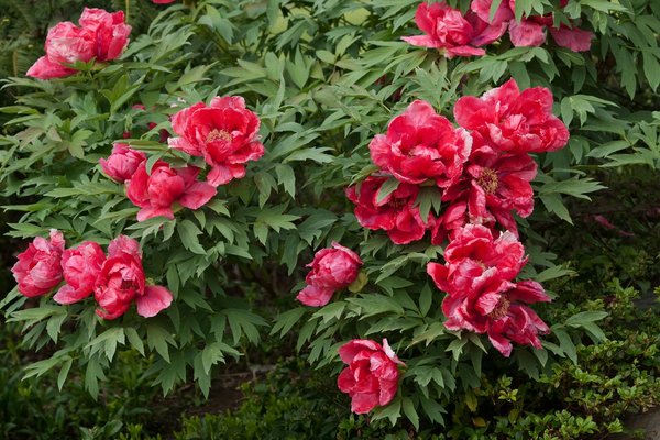 Essential Guide to Relocating Your UK Home with a Built-In Sauna: Step-by-Step Tips!